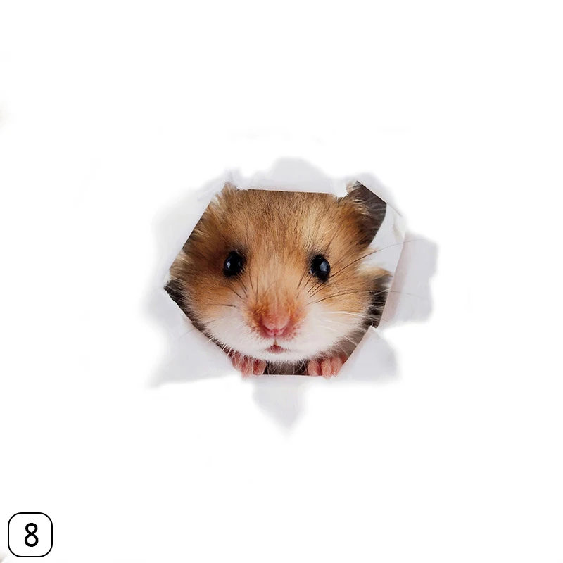 267554_no-logo_267554-2-08