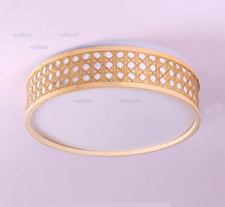 ceiling light (2)