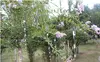 Garden Supplies