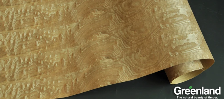 Chinese Ash Burl