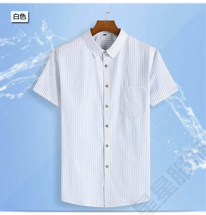 2019-T-2_08