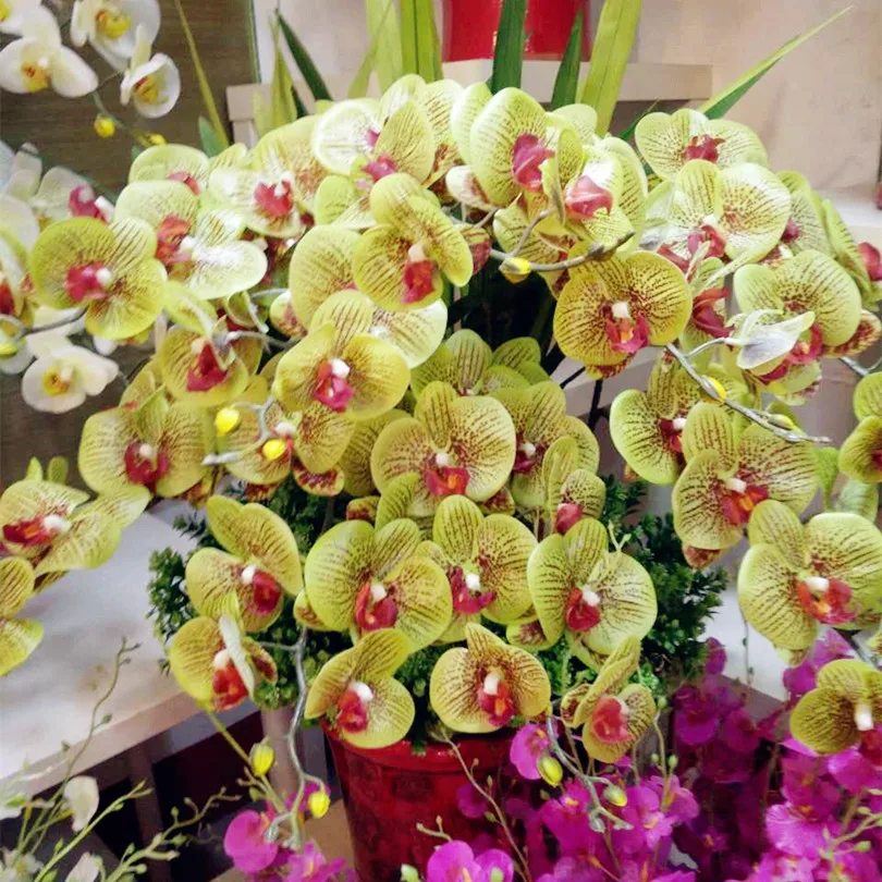 10 шт. искусственные длинные орхидеи фаленопсис|flowers real touch|real touch orchidsreal |