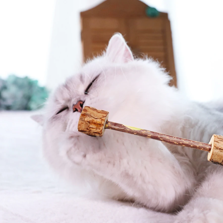 

6Pcs Cat Teething Toys Actinidia Matatabi Fragrance Catnip 2 Heads Cat Molar Sticks Nature Kitten Snacks Molar Food Toys