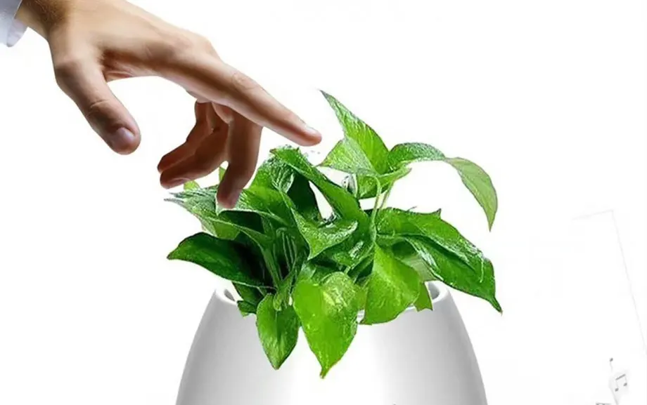 4304611889_1598661578_03