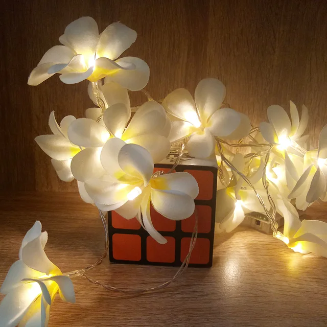 Frangipani Garland 5 Meter 40 Leds String Light For Event Party Frangipani Garland 5 Meter 40 Leds String Light For Event Party Decoration Vase Fl Decorative Flower