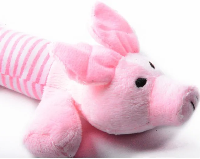 HTB1FqmHKVXXXXaMapXXq6xXFXXXY