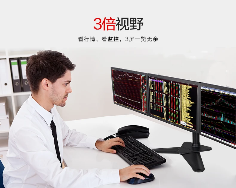 Loctek D2T Desktop 10