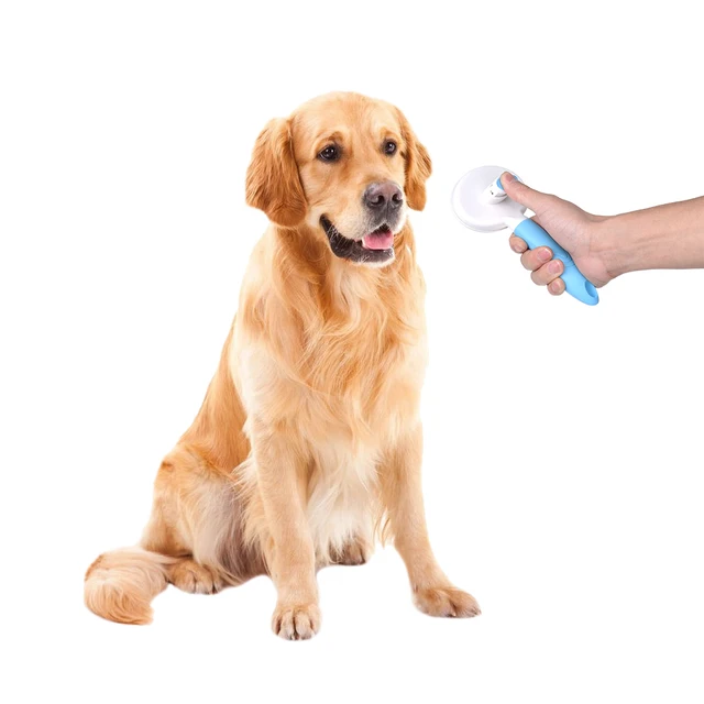 Petacc Dog Brush Pet Grooming Dog Needle Combs for Dogs Cat Gilling Brush Dog Rake Comb Bath Massage Cleaning Tool