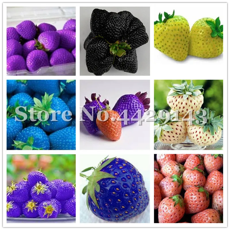 

200 Pcs Mixed Tree Climbing Strawberry Bonsai Courtyard Garden With Fruit and Vegetable Plants for home garden bonsai Plants