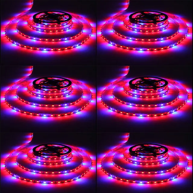 5m DC12V Waterproof Full Spectrum LED strip grow lights Hydroponic