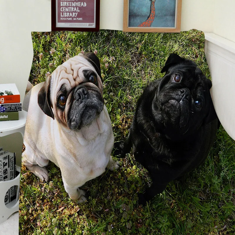 Modern Blankets Comfort Soft Cozy Air conditioning Easy Care Machine