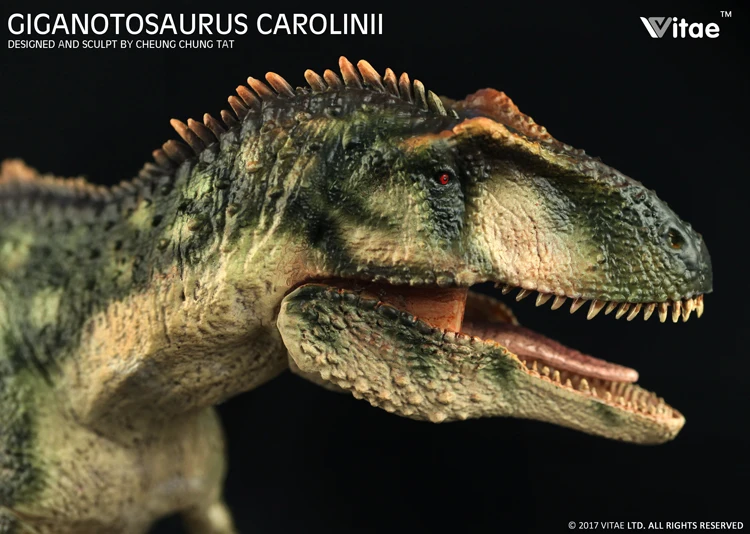 Предпродажа, биография Юрского периода, гиганотозавр, Carolinii, дошкольные животные, 1:35, модель динозавра 42 см