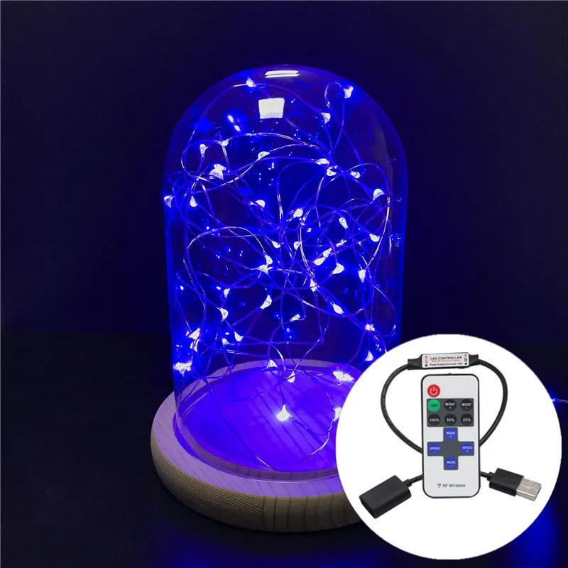 10M 33FT Copper Wire 5M USB 5V LED String Christmas Lights RGB LED Holiday Light With RF Controller For Christmas Decoration