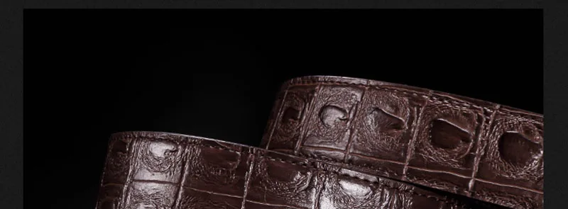 LU690 (9)