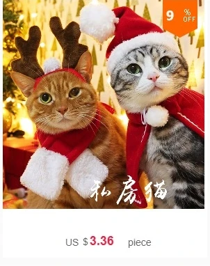 dianxiaobao