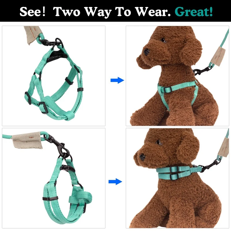 Pet Dog Leash Harness Set For Small Large Dogs Cats Puppy Nylon Dog Leashes Lead Rope Leash Harness For Dogs Cat Training YS0024 (5)