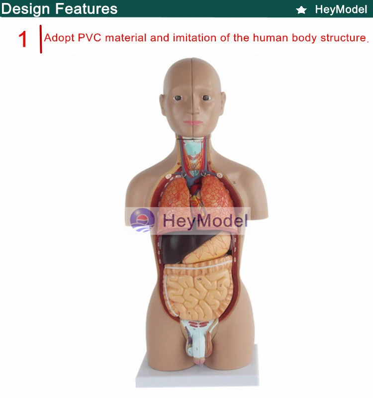 1.PVC_