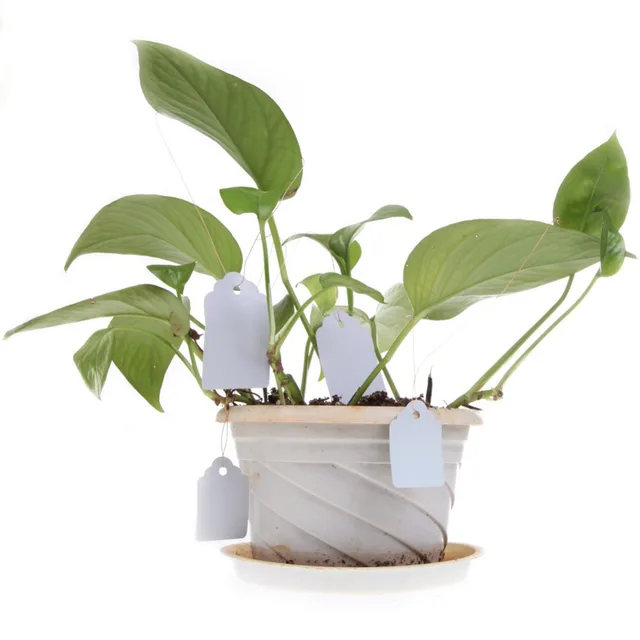100Pcs/lot Waterproof Plastic Plants Labels Signs Flower Hanging Tags Nursery Pot Markers for Garden Decoration Tools
