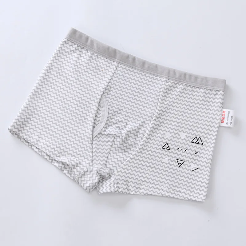 Boys Cartoon Underwear Kids Cotton Panties Teenage Boys Boxer Shorts ...