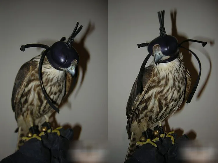 Красный головной убор из натуральной кожи Arabia повязка на глаза мигалки Falconry