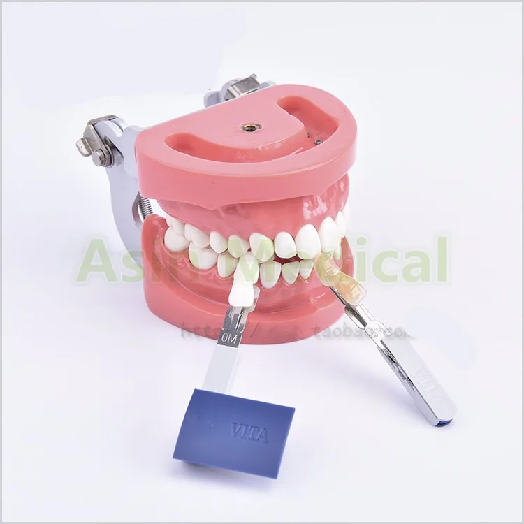 Новое поступление 1 комплект 3D toothshade руководство 29 Цвета с отбеленные фарфор Оттенки для Отбеливание зубов лечения Бесплатная доставка