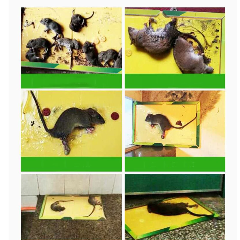 10 шт./лот доска для мыши липкая клейкая крысоловка+ приманка Высокоэффективная грызуна мышь устройство для ловли змей борьба с вредителями нетоксичные экологически чистые