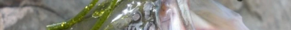 ENG_07