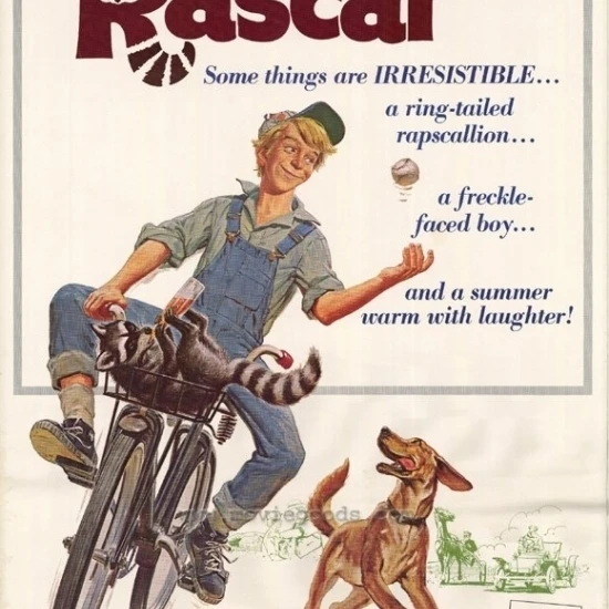 Rascal Movie Poster (27 x 40)
