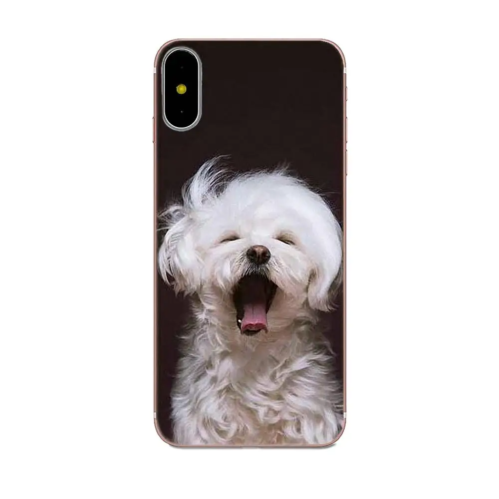 Цветной постер для Sony Xperia Z Z1 Z2 Z3 Z4 Z5 compact Mini M2 M4 M5 T3 E3 E5 XA XA1 XZ Premium Pomeranian Dogs