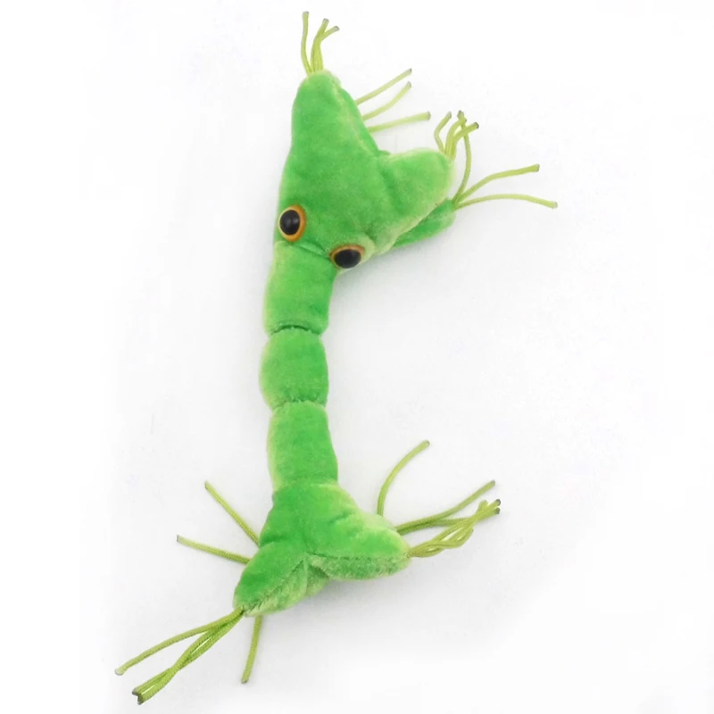 

Free shipping nerve cell plush toys high-quality for teach cell stuffed doll