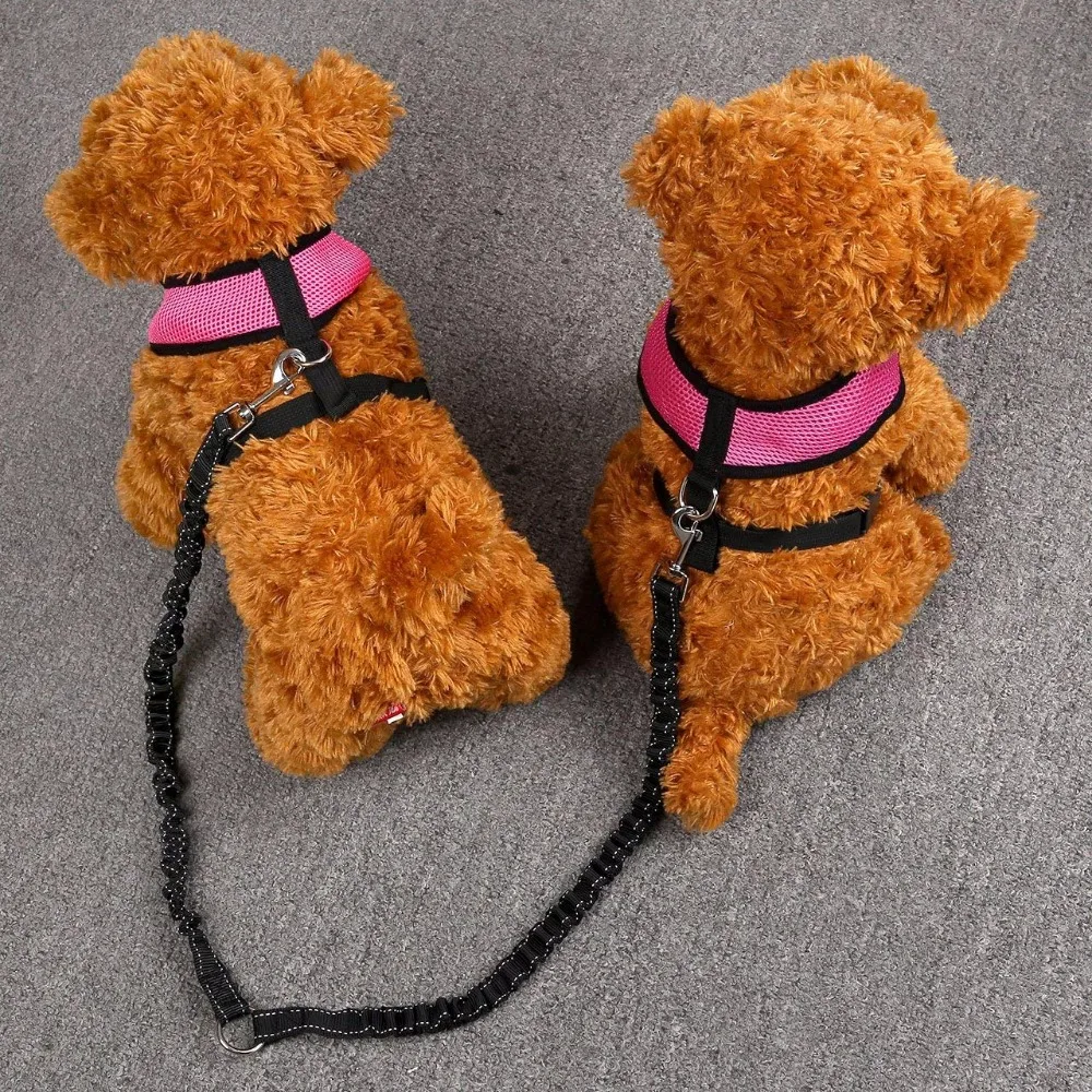 91M4L44w0vL._SL1280_