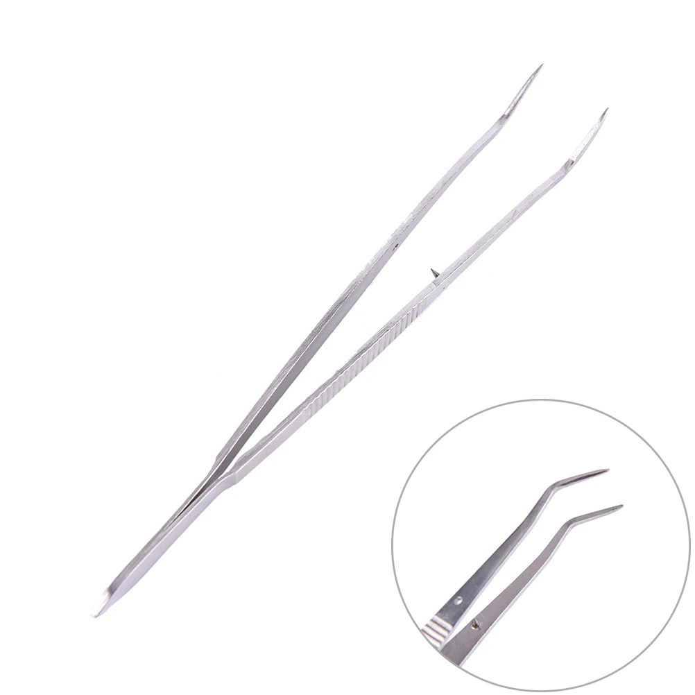 

Dental Plier Stainless Steel Dental Tweezer Forcep Teeth Clean Tools Professional Dentistry Instrument Hygiene Silver