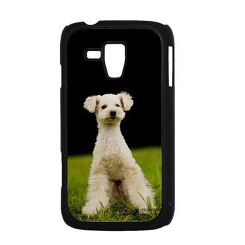 samsung trend duos s7562