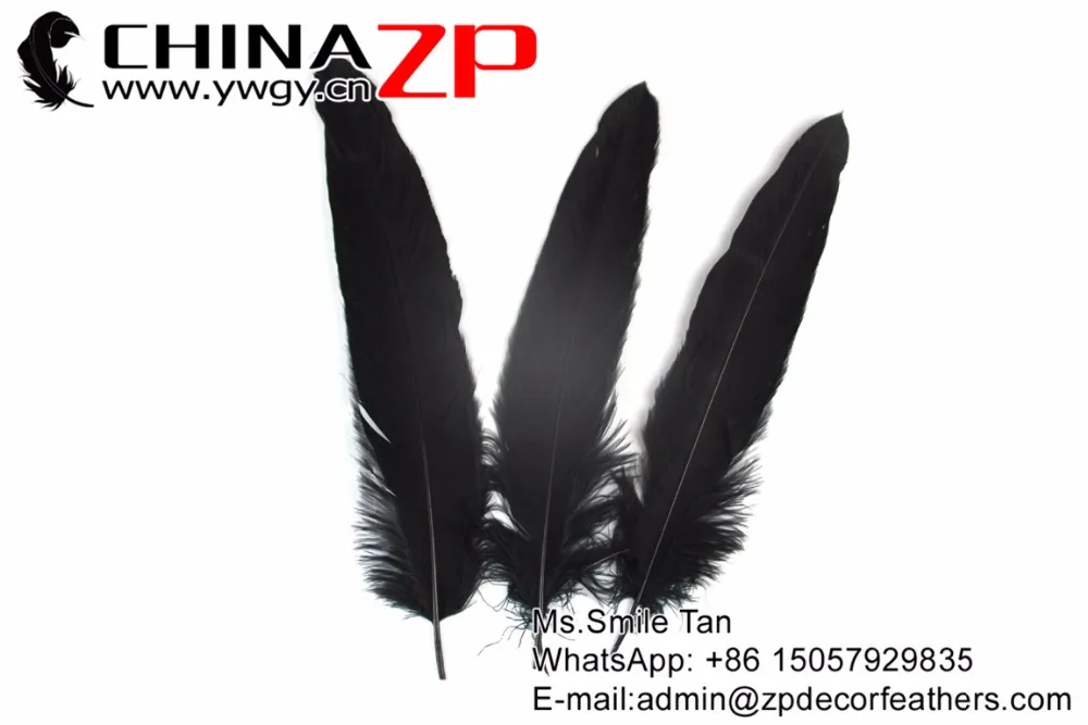 2 Black Original Eagle Feathers (4)