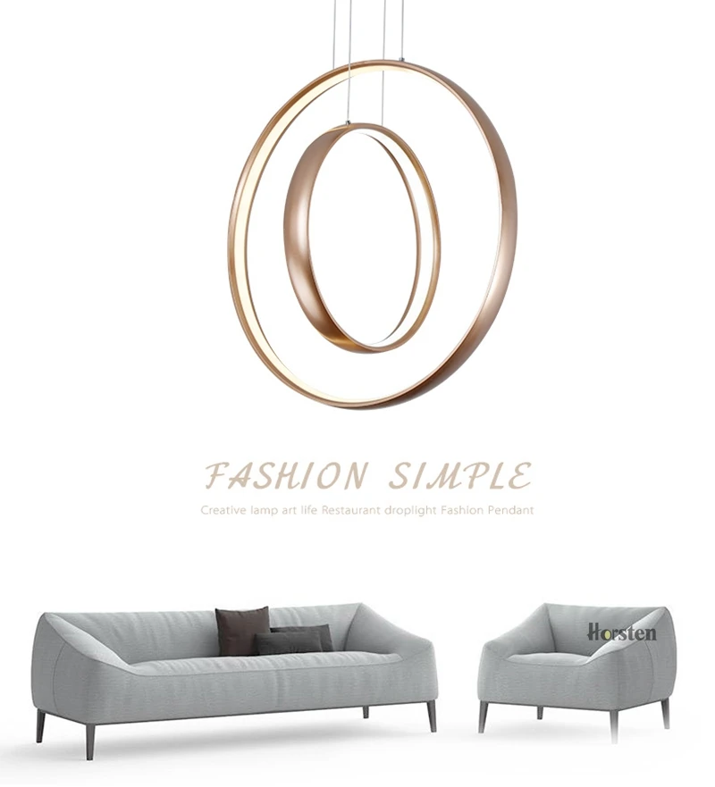 Nordic Creative LED Pendant Lights Lamp Minimalist Aluminum Double Ring LED Hanging Lighting For Dining Room Bar Cafe (1)