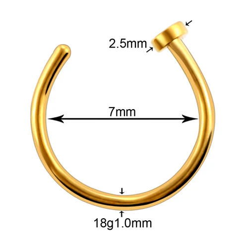 1 шт. G23 титановый пирсинг Nariz 20 г кольцо для носа C клипсой для пирсинга губ Бурун кольцо для носа пирсинг носа шпилька ноздри пирсинг - Окраска металла: T0703