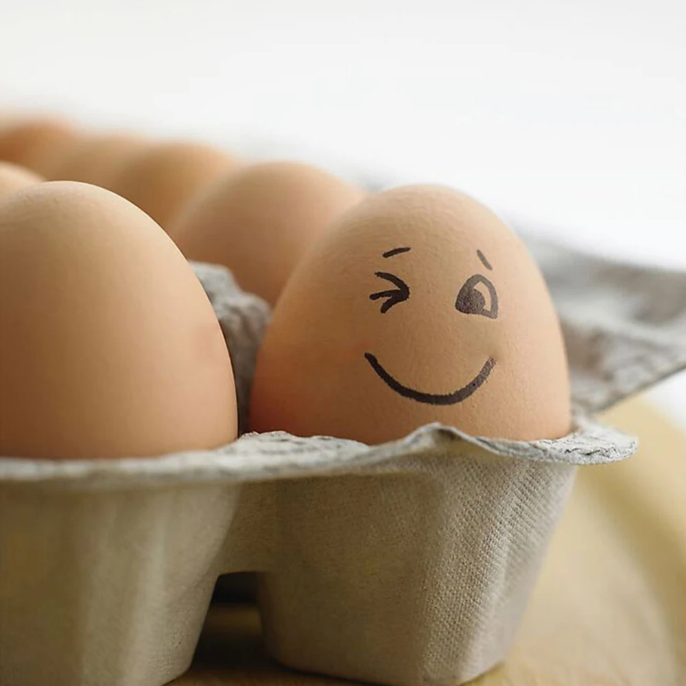 1 Pc Fake Eggs Nest Egg Layer Coop Hatch Incubation Breeding Wooden Eggs (35g)Rubber Toy Egg for Painting
