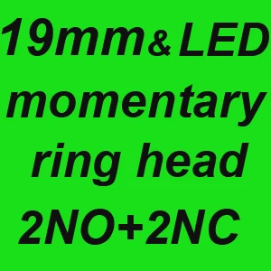 19mm 