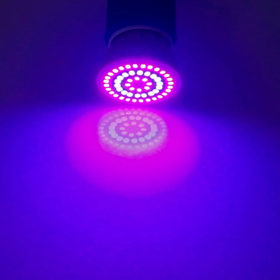 Led Grow Lamp Phyto Lamp E27/GU10/MR16 Light Led For Plant 220V Grow Light Red Blue led For Plants Growth Phyto Lamp