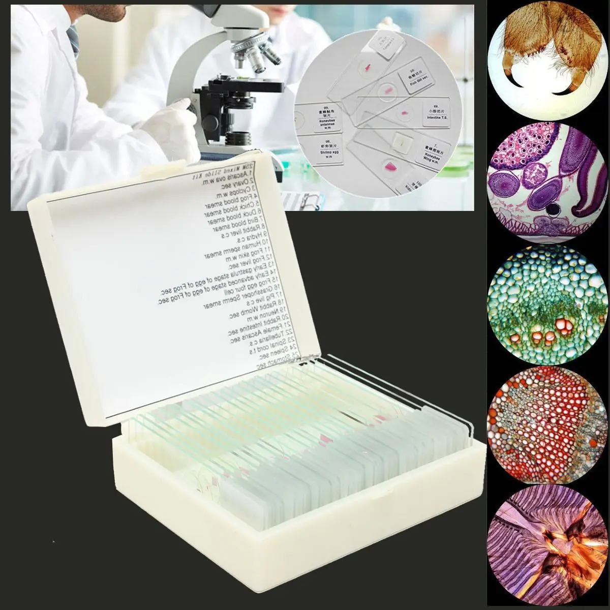 

25Pcs Sample Glass Prepared Basic Science Microscope Slides Sample Biology Pathology Microscope Glass Prepared Basic Plant