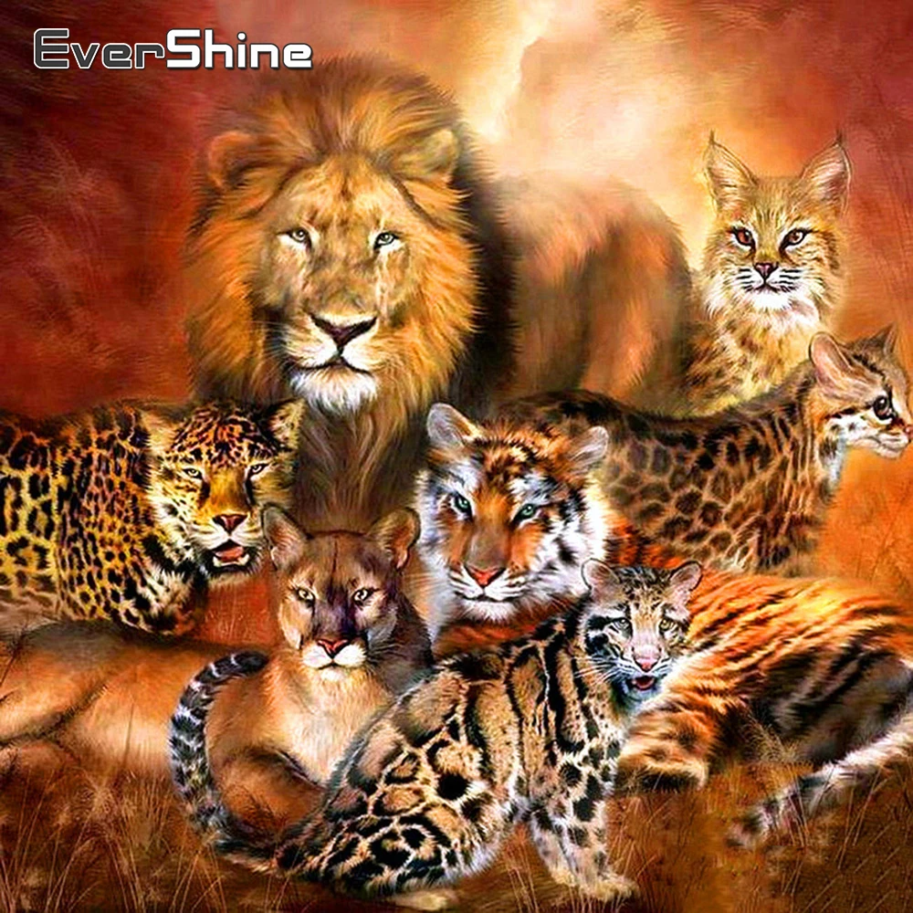 EverShine 5D DIY Алмазная картина полная дрель квадратные дикие животные вышивка