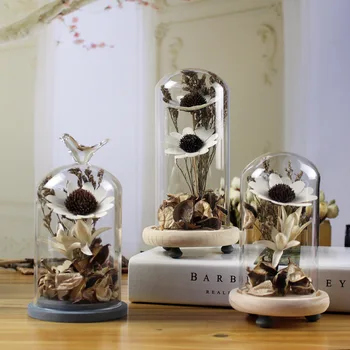 

Original ecology micro landscape dry flower glass cover home office decor garden countryside bloom creative vase friend gift