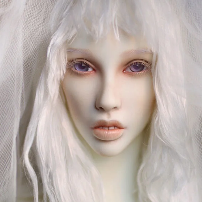 Dollshe craft DS Erica snow 26F 1/3 модель тела Девушка bjd sd кукла oueneifs высококачественные