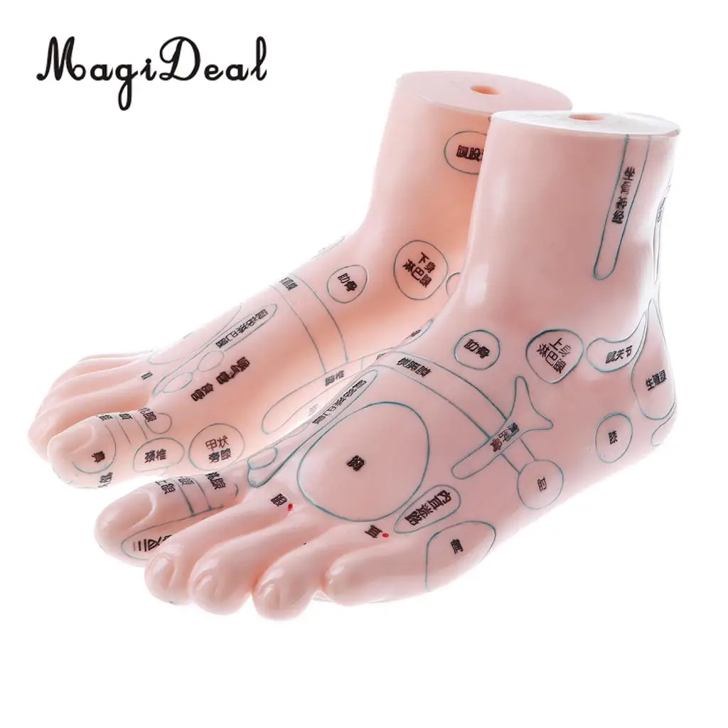 2 Pieces 19cm Massage Acupuncture Feet Model Set Reflexology Acupoint Medical School Teaching Tool Learning Display