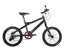 20in Bike 8 Speeds 24 Speeds Suspension Frame Bicycle Mechanical Disc Brake Bicycle