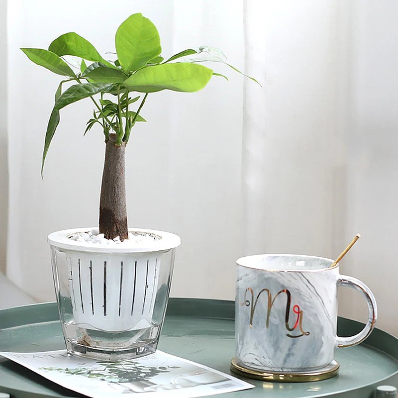 

Double Layers Transparent Glass Flowerpot Planter Pots For Flowers Self Watering Planter Flower Pot Home Garden Bonsai Pot