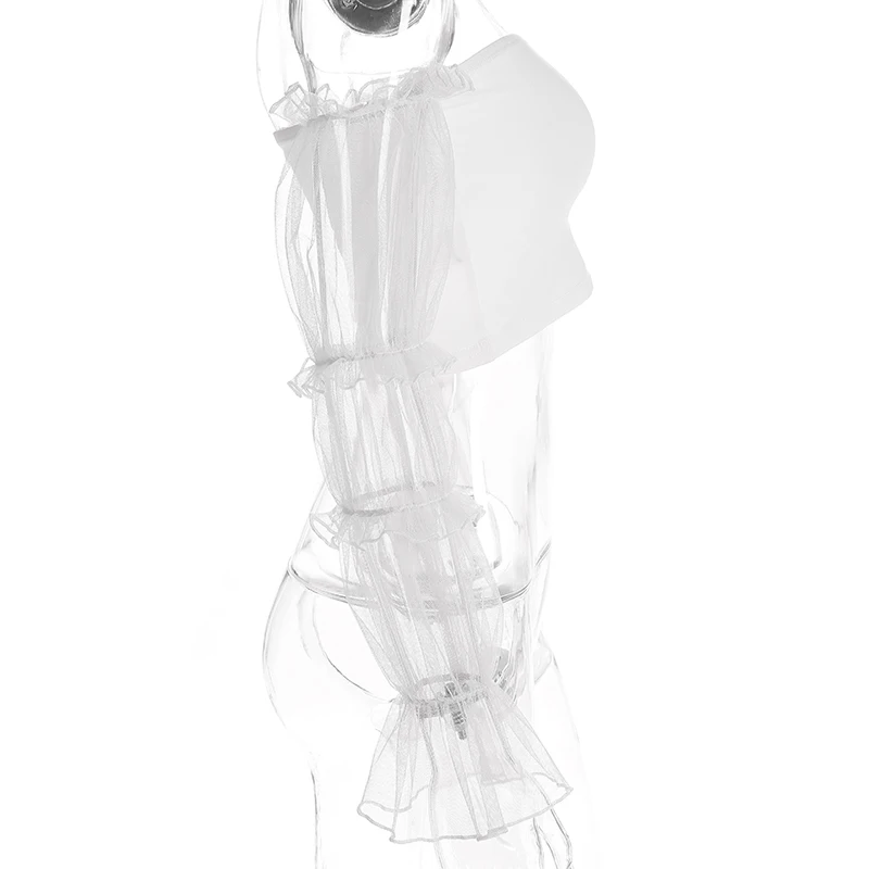 T0682W06 (1)