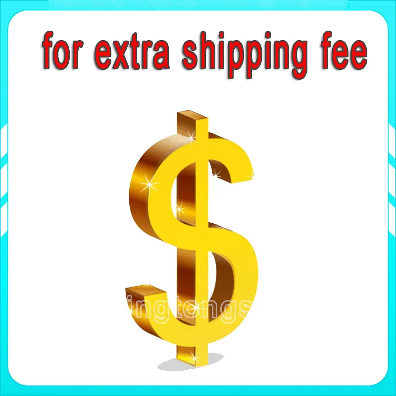 

Additional Payment or Extra Fee for your Order as Discussed