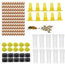 Полный комплект для вывода пчелиных маток, система клетки, набор инструментов для пчелиных маток, поставщик инструментов, оборудование, базовые сотовые клетки, распродажа пчеловодства