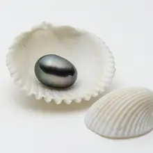 Огромный зеленый Настоящее Tahitian культивированный Свободные Перл половина пробурено 14,1*10,35 мм 10.9ct